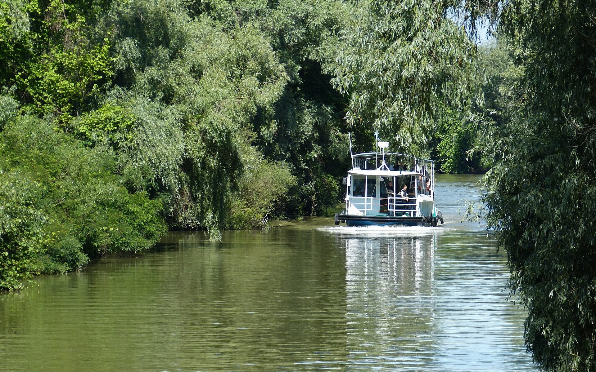 Fahrt im Donaudelta mit Boot